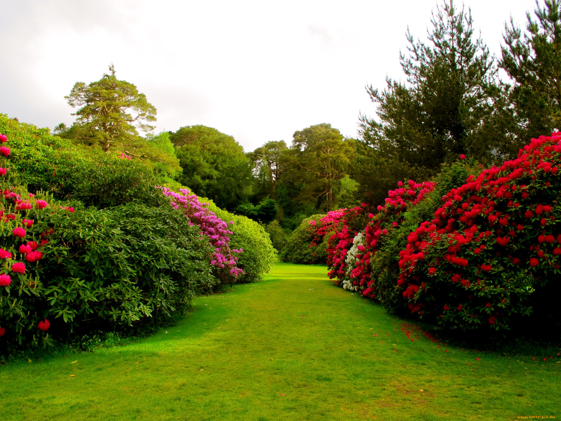 muckross, house, garden, ireland, , , 